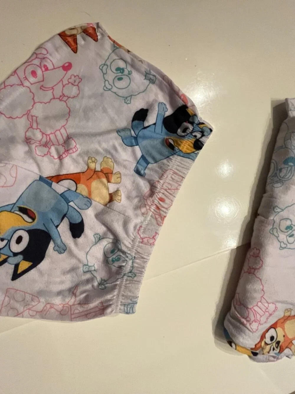 Bluey Pajamas (2 piece set) Size 6 / 6X - Previously Worn